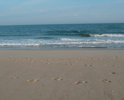 huh-huh beach!